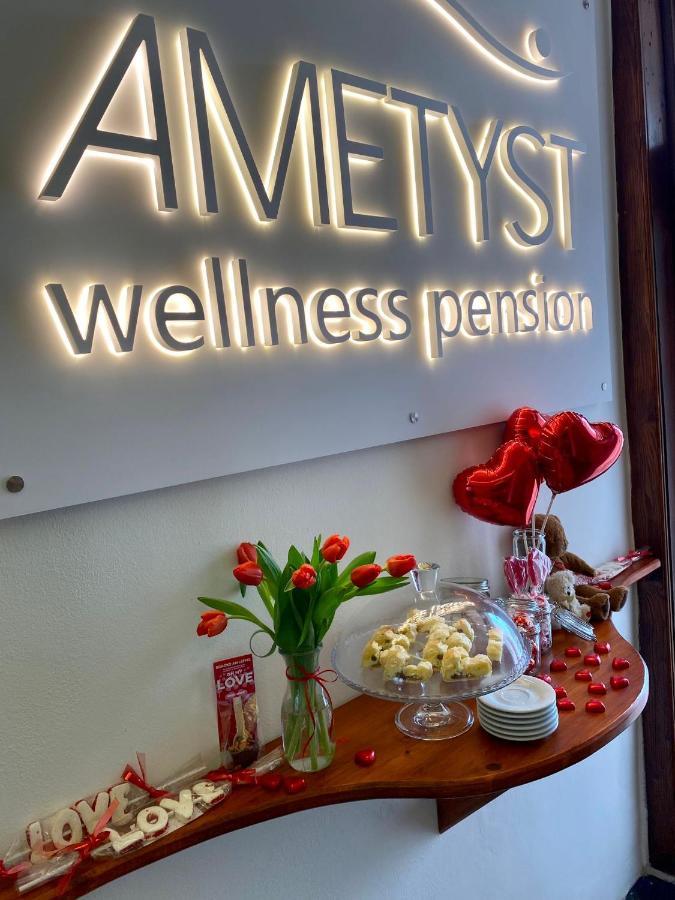 Wellness Pension Ametyst Чески-Крумлов Экстерьер фото