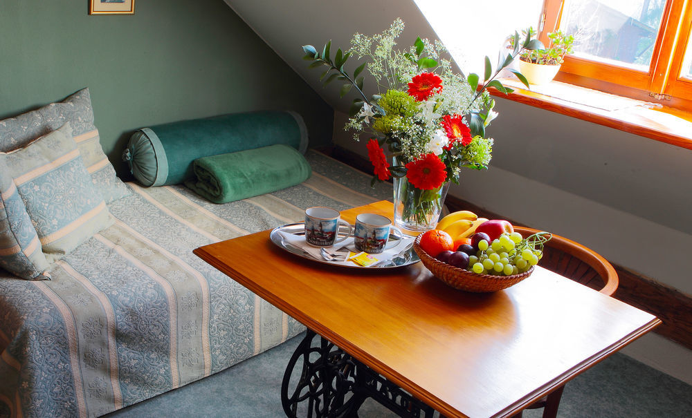 Wellness Pension Ametyst Чески-Крумлов Экстерьер фото